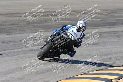 media/Feb-04-2024-SoCal Trackdays (Sun) [[91d6515b1d]]/4-Bowl Backside (11am)/